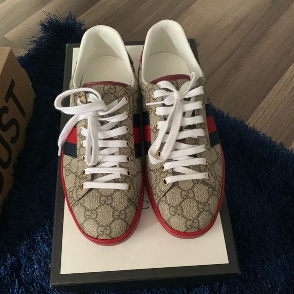 Gucci sneakers 61/2 Gucci 7 US - Picture 1 of 5